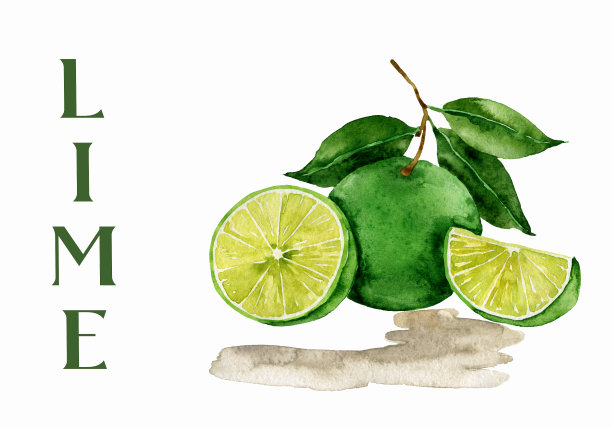 水果插图图片下载