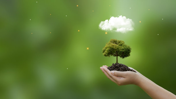 手持绿树与云模糊绿色自然背景的ESG，二氧化碳，净零，世界可持续发展的环境，拯救清洁的星球，生态地球日，气候变化和绿色理念。图片下载