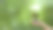 手持绿树与云模糊绿色自然背景的ESG，二氧化碳，净零，世界可持续发展的环境，拯救清洁的星球，生态地球日，气候变化和绿色理念。图片下载