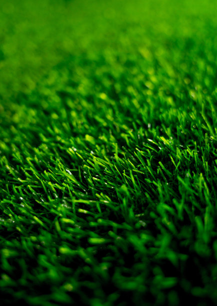 某大型商店陈列室的人造草坪背景。图片下载