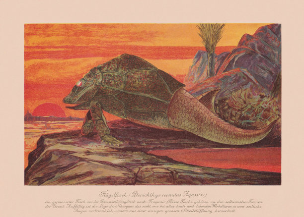 角翼龙(Pterichthys cornutus)，泥盆纪，石刻，1900年出版图片下载