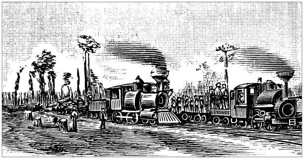 古董插图美国，德克萨斯地标和公司:铁路木材图片下载