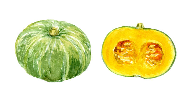 南瓜水彩画图片下载