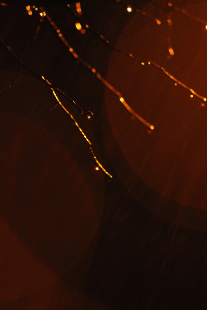 树枝上的雨滴被灯笼照亮图片下载