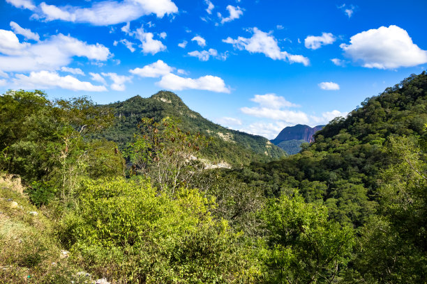 玻利维亚自然山脉的景观照片与绿色植被，阳光明媚的夏日。玻利维亚自然荒野的美景。全球生态概念。复制广告文字空间，自然背景图片下载