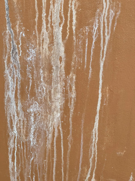 一张照片上一个人拿着消防栓站在墙前，还有一个人拿着冲浪板站在墙前。图片下载