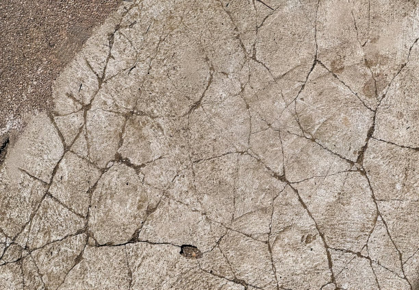 一只鸟站在开裂的混凝土表面上的照片，有一只鸟独自站在地面上。图片下载