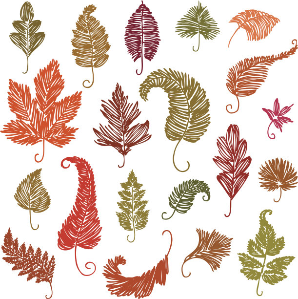 涂鸦的叶子图片下载