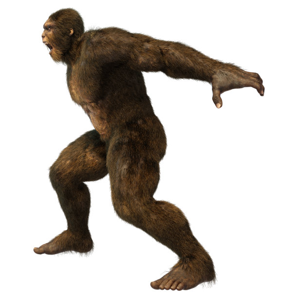 3D渲染大脚野人在白色图片下载