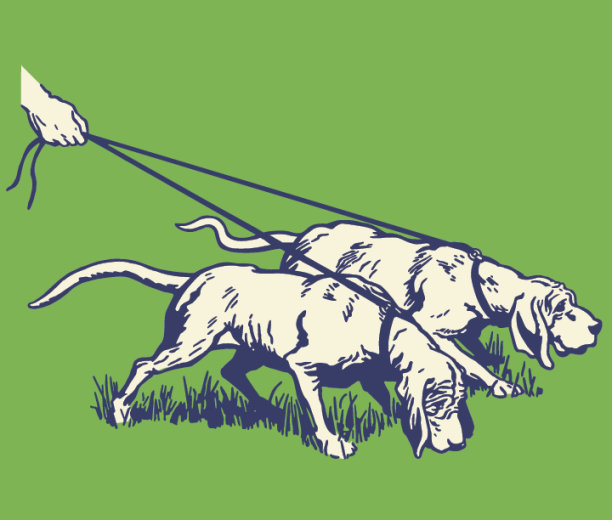 两个猎犬图片下载