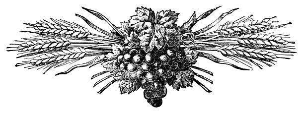 葡萄和小麦设计- 19世纪图片下载