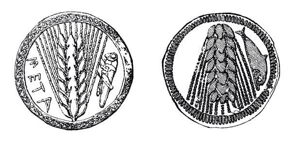 意大利南部的一种古老硬币，上面有麦穗和蚱蜢图片下载