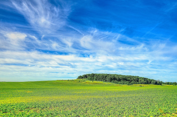 小山上的一小片森林图片下载