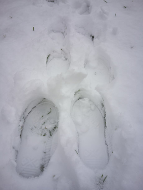 雪地上的靴印图片下载