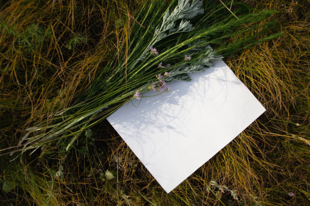 A4白色床单的模型，上面有紫色的花、艾草和草。图片下载