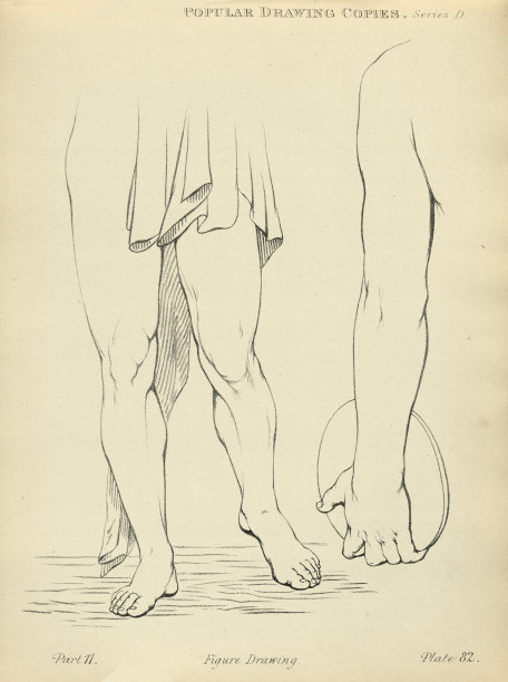 素描人的腿和手臂，维多利亚艺术人物绘画复制19世纪图片下载