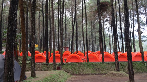 露营区的帐篷。图片下载