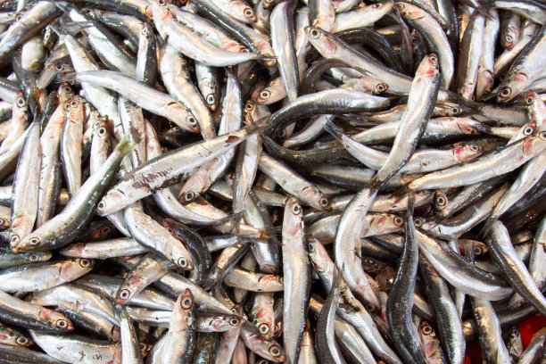 超市柜台上的盘子里放着鲜鱼和冰块。图片下载