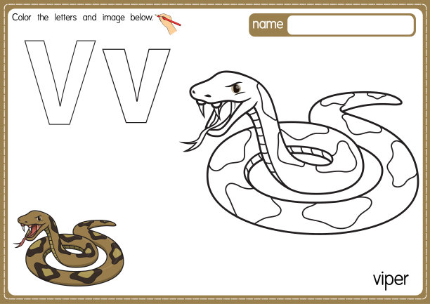 矢量插图的儿童字母着色书页与概述剪贴画，以颜色。字母V代表毒蛇。图片下载