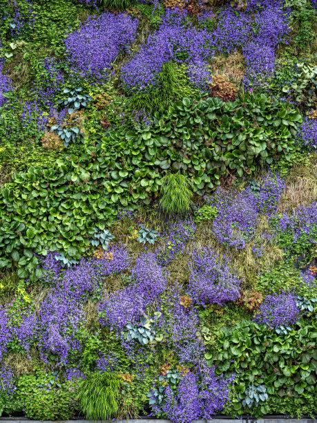 外面是垂直花园。图片下载