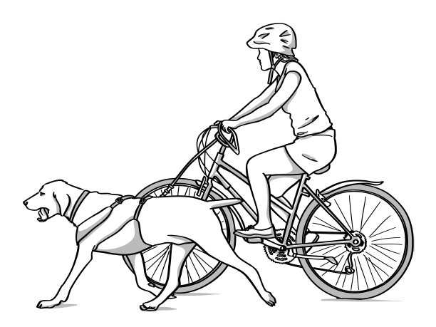 骑自行车和遛狗小品图片下载