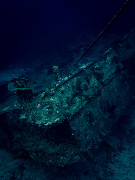 在洪都拉斯罗阿坦的加勒比海法国礁附近，巴德先生号的残骸图片下载