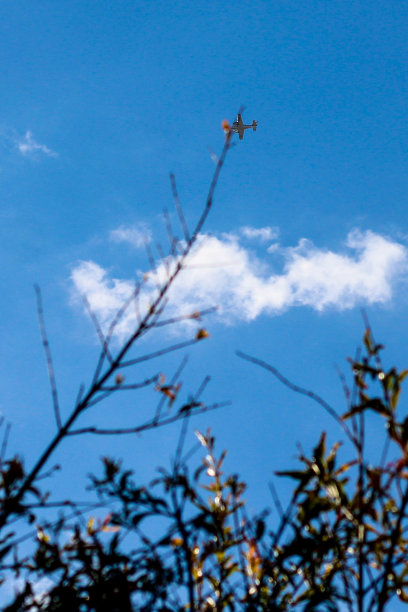 飞机图片下载