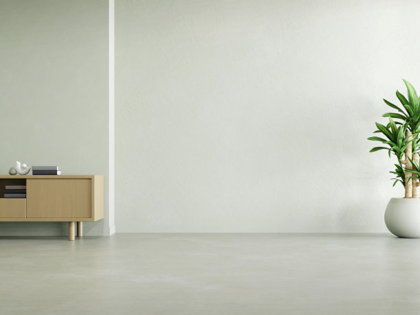 空房间的3d效果图，白色墙壁和混凝土地板。图片下载