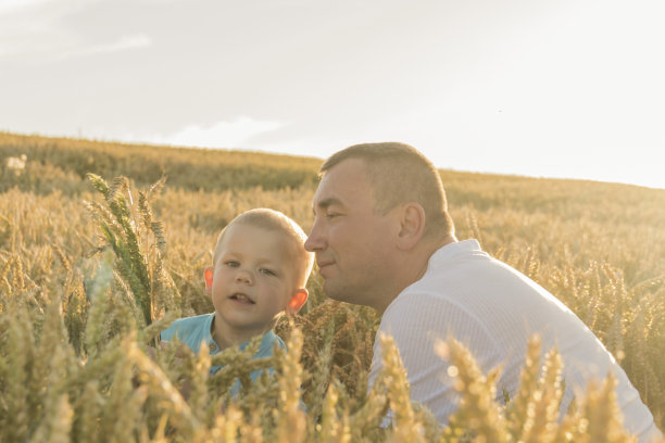 爸爸和小儿子在长满成熟小麦的地里散步，玩得很开心。做面包用的谷物经济危机和饥饿的概念。图片下载