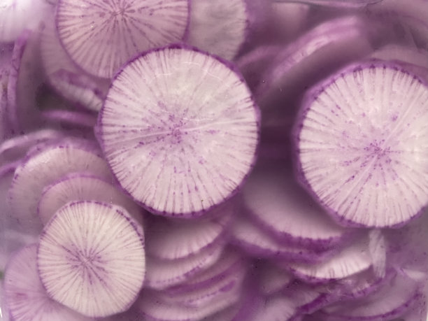 紫萝卜1图片下载