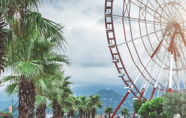 绿油油的摩天轮图片下载