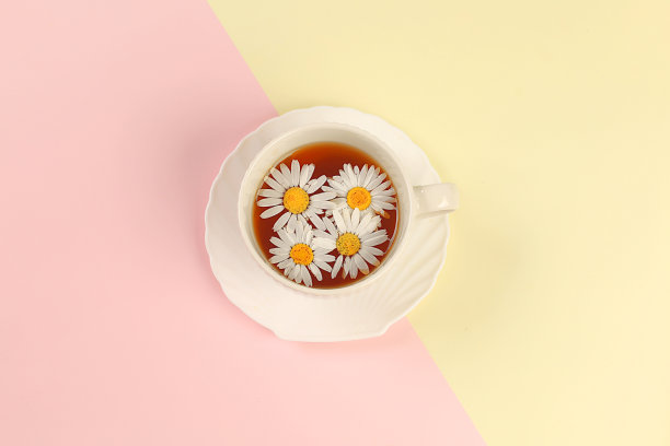 洋甘菊茶装在一个杯子里，上面放着天然的小洋甘菊花，在一张浅色的桌子上，有凉茶的概念图片下载