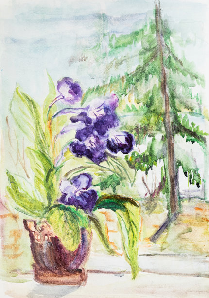 窗台上花盆里的花图片下载