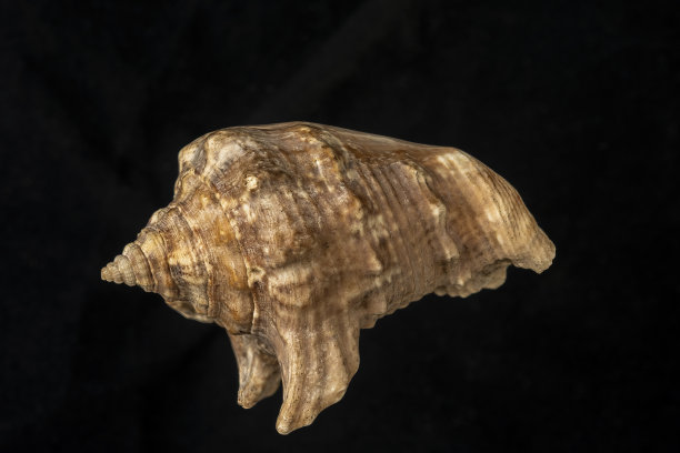 征服马格达莱纳河图片下载