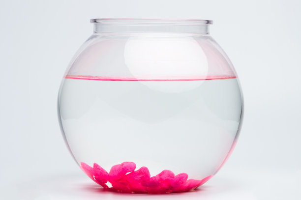 干净的空水族缸图片下载