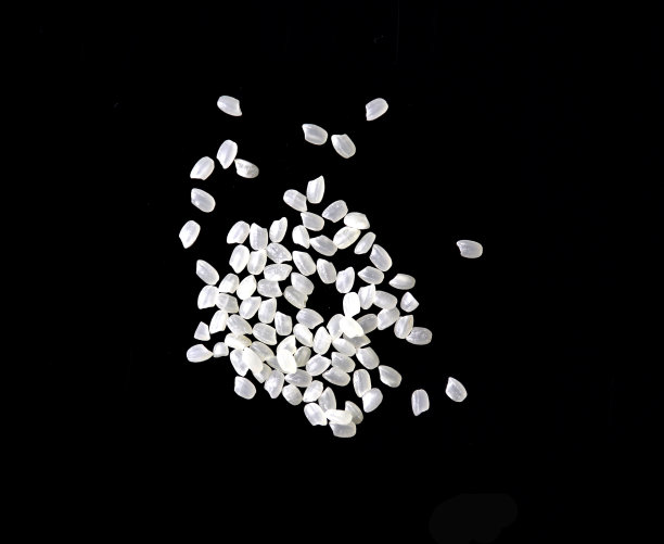 生的白色米粒白色背景图片下载