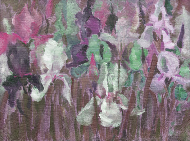 插画油画风景花鸢尾花盛开在花坛上，背景是树叶图片下载