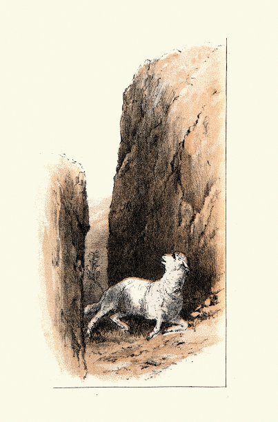 迷失在深谷中的羔羊，维多利亚时代的艺术图片下载