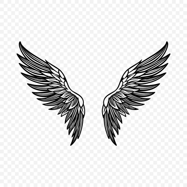 矢量黑色翅膀图标。复古天使翅膀图标，设计模板，剪贴画。丘比特、天使或鸟的翅膀。矢量图图片下载