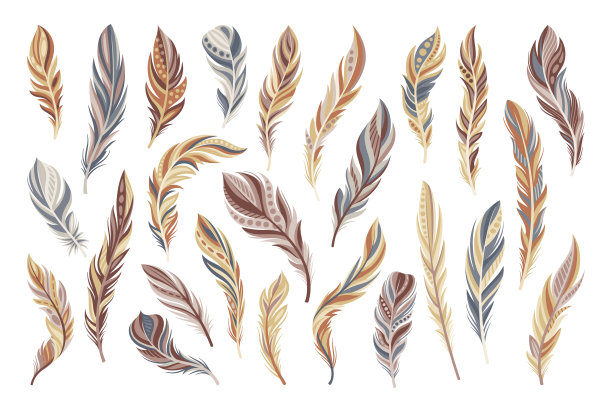 动物羽毛套装图片下载