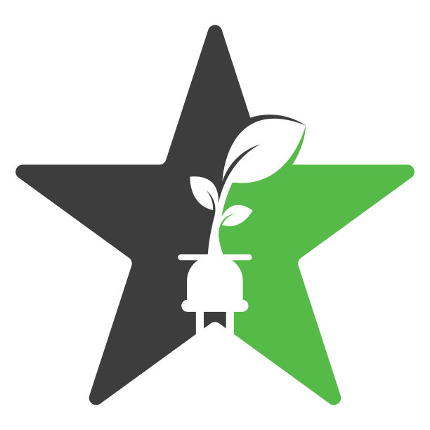 生态插头星形矢量概念标志设计。图片下载