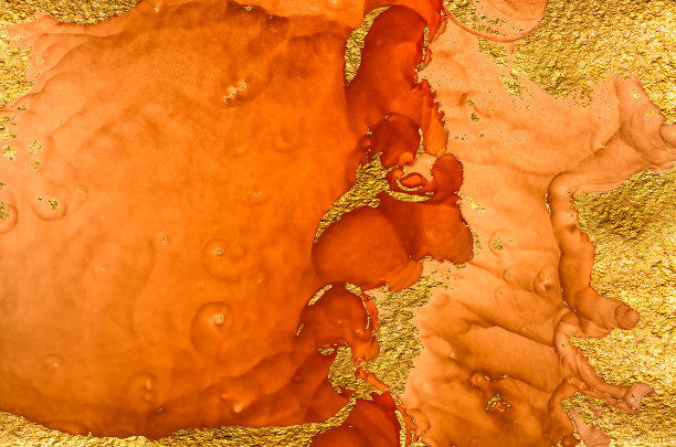 海贝。金大理石。图片下载