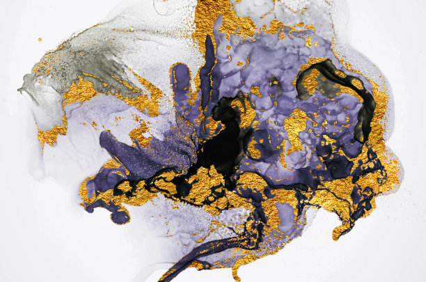 海贝。金大理石。图片下载