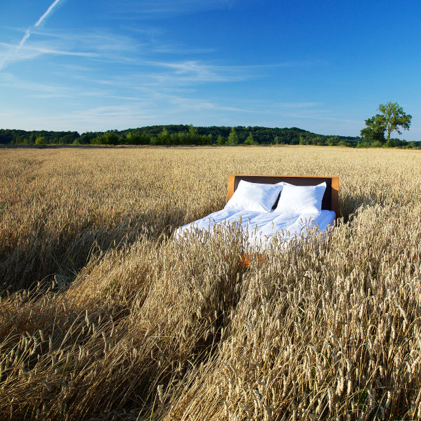 谷物地里的床——好睡眠的概念。图片下载