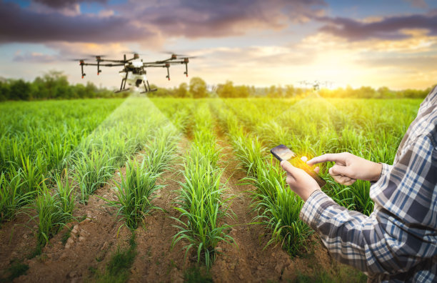 在甘蔗农场工作的亚洲男性农民收集数据进行研究。创新技术发展农场，提高生产效率。图片下载