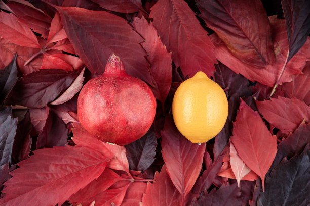 两个水果，一个黄色的柠檬和一个红色的石榴，位于红叶的背景上图片下载