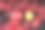 两个水果，一个黄色的柠檬和一个红色的石榴，位于红叶的背景上图片下载