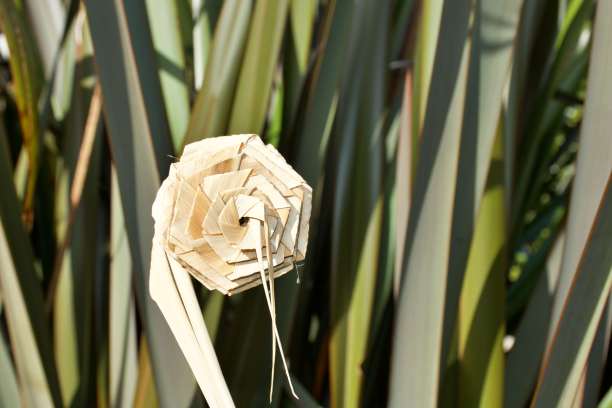 用新西兰亚麻织成的Putiputi花图片下载