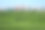 河边芦苇的自然绿叶背景。背景是一个商业码头。图片下载