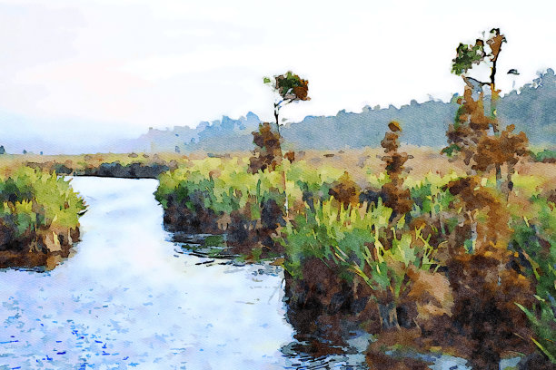 水彩插图的河流景观图片下载